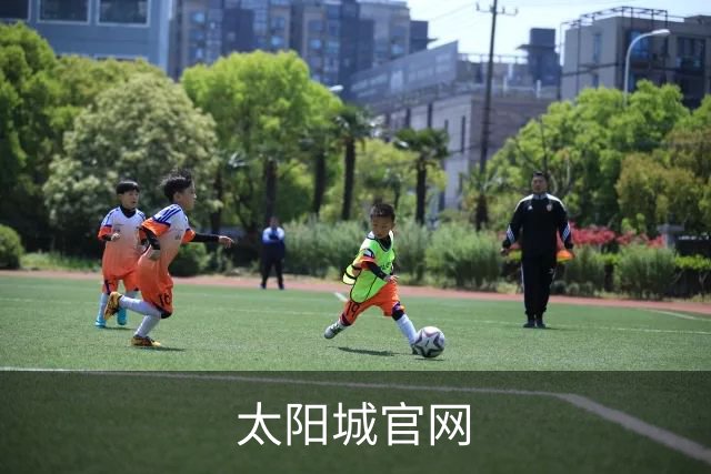 关于太阳城官网